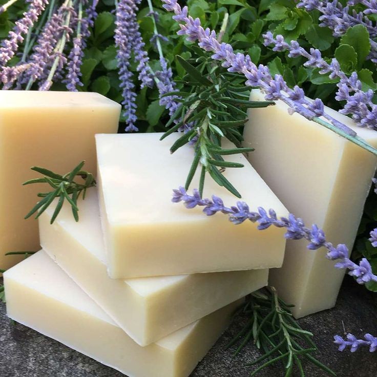 Give Me Moisture: Lavender Shampoo Bar